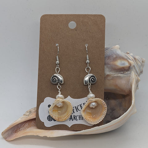 Shells and Nautilus Earrings