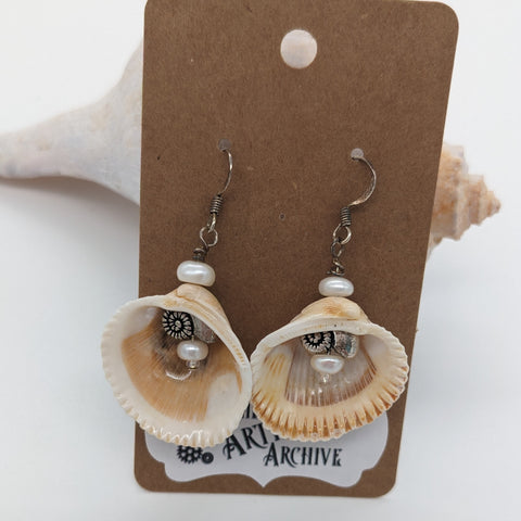 Medium Shells and Nautilus Earrings I